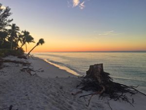 OSHA Training Sanibel Captiva